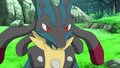 ◄ ► Méga-Lucario (de Cornélia)
