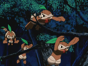 Film 06 - Pifeuil Sauvages.png