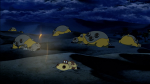 Hippodocus sauvages Film 18.png