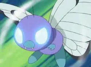 Papilusion Choc Mental.jpg