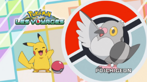 FR - QECP LV029.png
