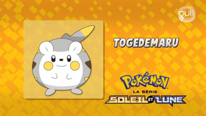 FR - QECP SL006.png