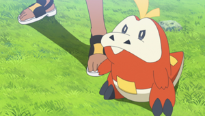 LH043 - Chochodile de Rhod.png
