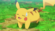 Pikachu(de Sacha)