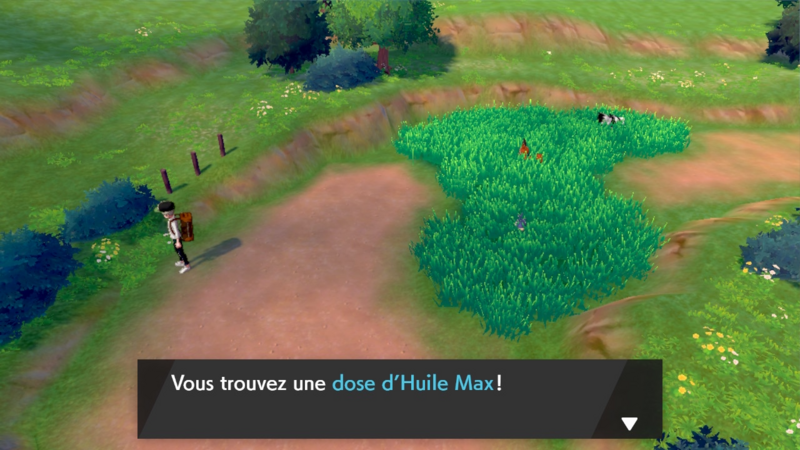 Fichier:Route 2 Huile Max EB.png