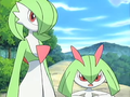 Kirlia et Gardevoir (sauvages)