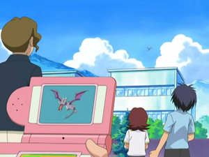 DP017 - Ptéra Pokédex.png