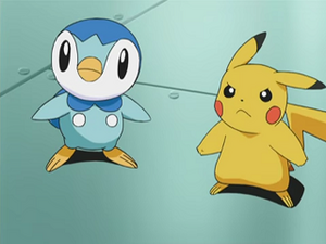 DP147 - Tiplouf d'Aurore et Pikachu de Sacha.png