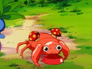 Paras(sauvage)