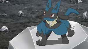 LV084 - Lucario de Sacha.png