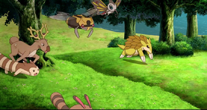 Ninjask sauvage - Film 12.png