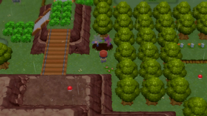 Route 215 Arbres à Baies 1 DEPS.png
