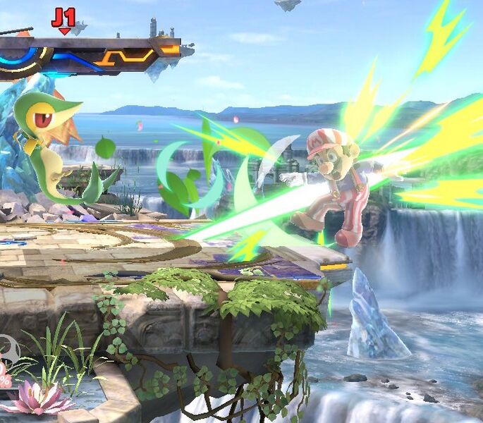 Fichier:Vipélierre SSBU.jpg