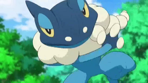 XY055 - Croâporal de Sacha.png