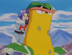 EP188 - Empiflor de James.png
