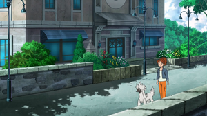 XY043 - Couafarel d'un Dresseur.png
