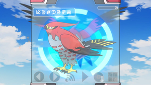 XY086 - Flambusard Pokédex.png