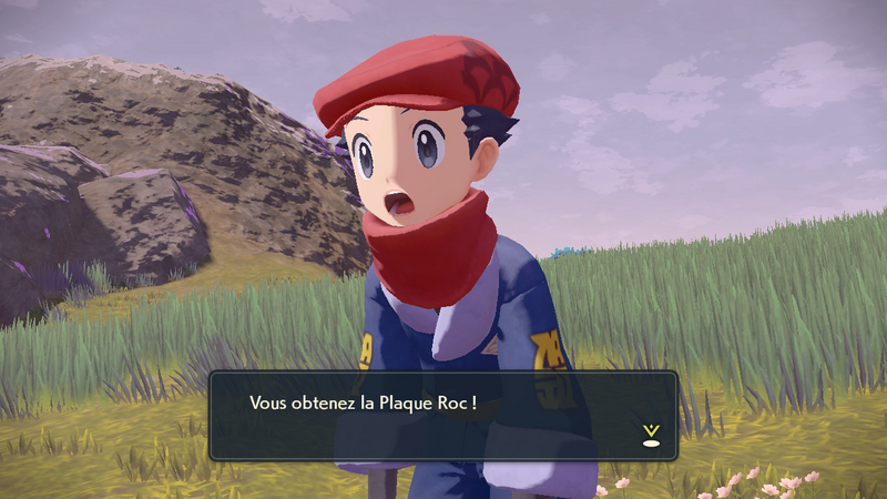 Fichier:Bocage Agité Plaque Roc LPA.png