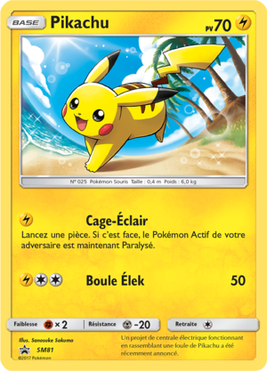 Carte Promo SM SM81.png