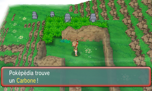Mont Mémoria Carbone ROSA.png