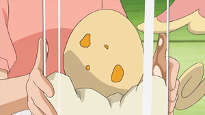 NB013 - Œuf.png