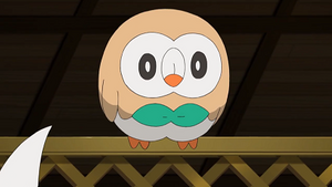 SL058 - Brindibou de Sacha.png