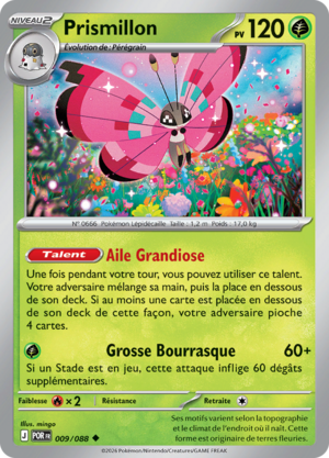 Carte Méga-Évolution Équilibre Parfait 009.png