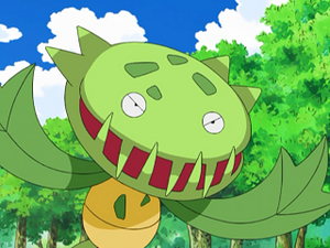DP099 - Vortente de James.png