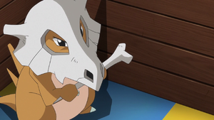 PO02 - Osselait de la Maison Pokémon.png