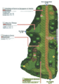 Plan de la Route 6 dans Pokémon Ultra-Soleil et Ultra-Lune.