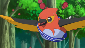 XY077 - Braisillon de Sacha.png