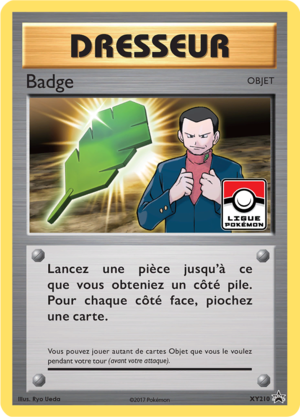 Carte Promo XY XY210.png