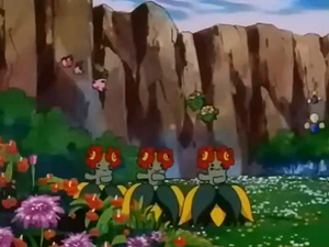 EP252 - Joliflor.png