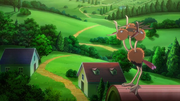 Dodrio(sauvage)