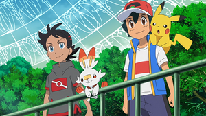 LV011 - Flambino de Goh et Pikachu de Sacha.png