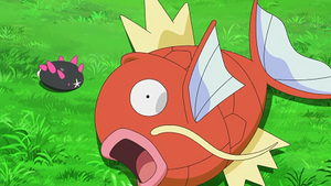 LV037 - Magicarpe de Goh.png