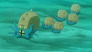 LV134 - Amonistar et Amonita (Vision).png
