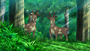 LV137 - Haydaim.png