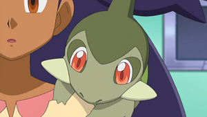 NB004 - Coupenotte d'Iris.png