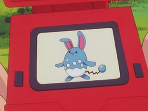 EP153 - Azumarill Pokédex.png