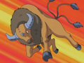 Tauros (de Sacha)