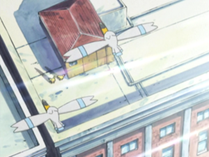 Pokémon Chronicles 05 - Goélise.png