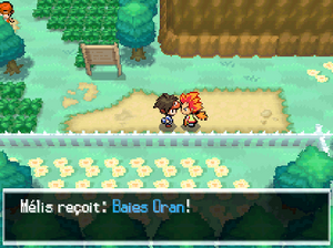 Route 19 Baie Oran N2B2.png