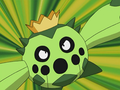 Cacnea (de James)