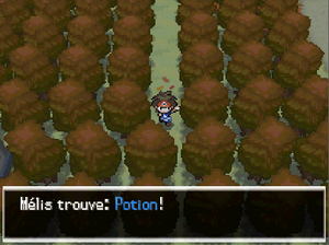Amaillide Potion 1 N2B2.png