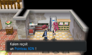 Batisques Pointeau ADN XY.png