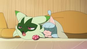 LH046 - Bibichut de Liko.png
