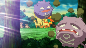 LV136 - Smogo et Smogogo.png
