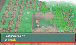 Mont Mémoria Muscle + ROSA.png