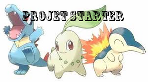 Starter Projet.png